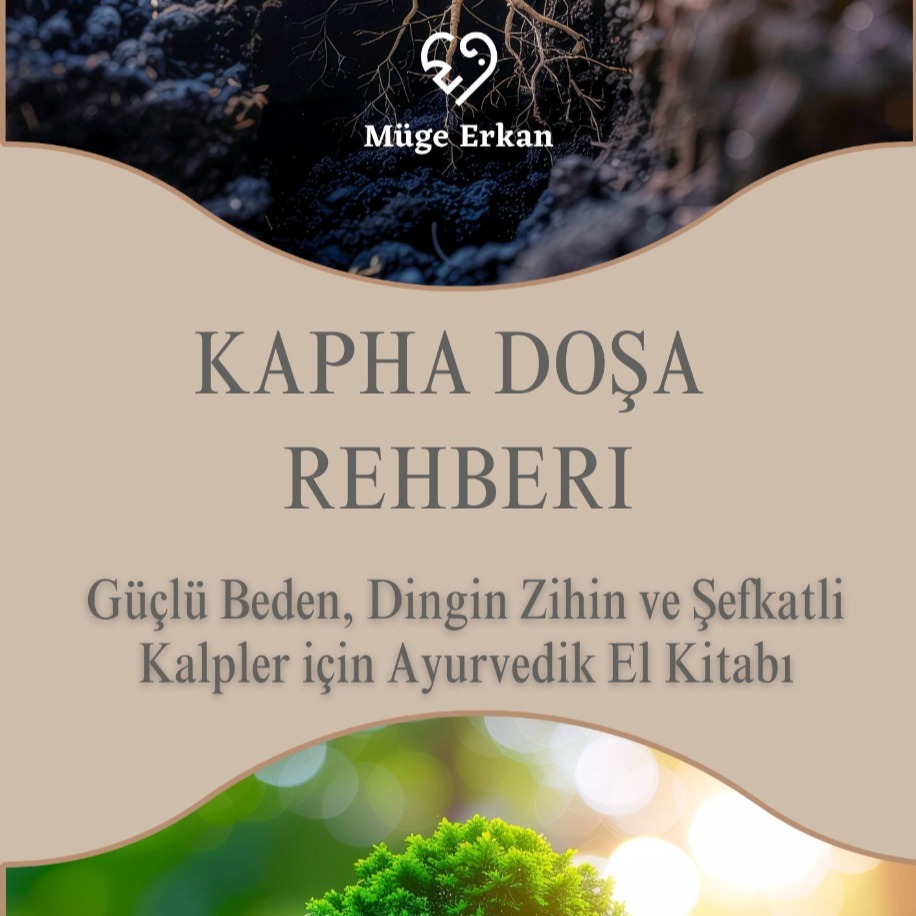 Kapha Doşa Rehberi